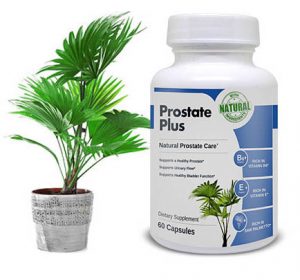 Prostate Plus Review